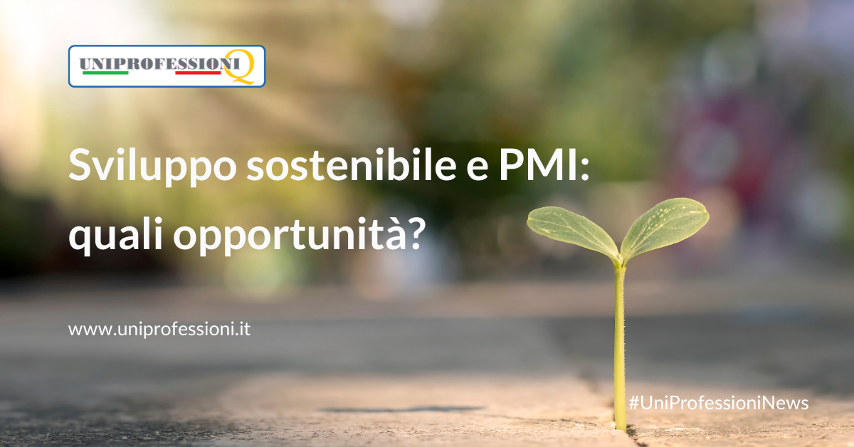 Sviluppo sostenibile e opportunità PMI